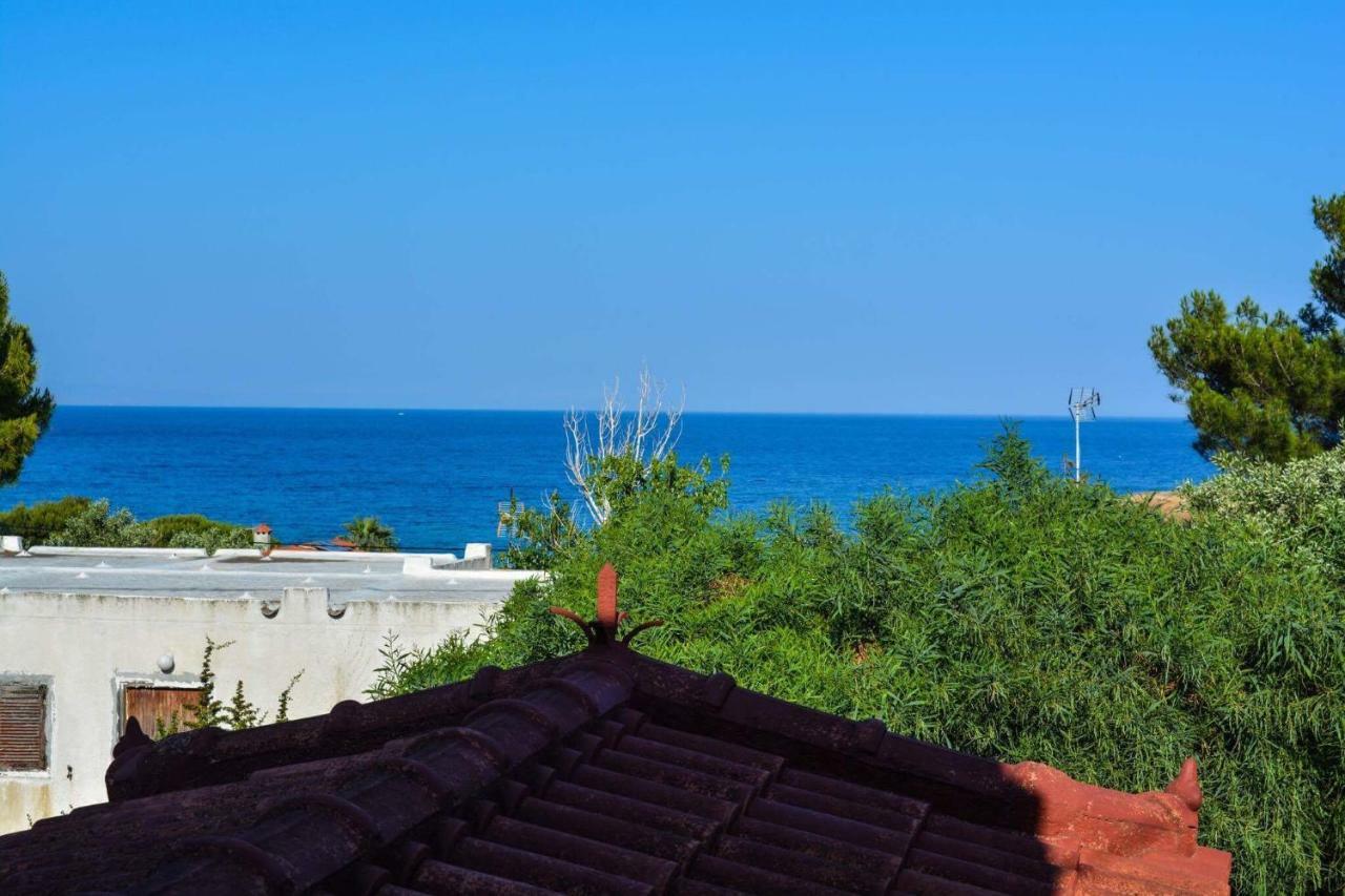 Sofia'S Seaview Villa Near Airport And Beach Artemida  Exterior photo